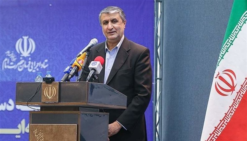 رئيس منظمة الطاقة الذرية الإيرانية، محمد إسلامي (أرشيف)