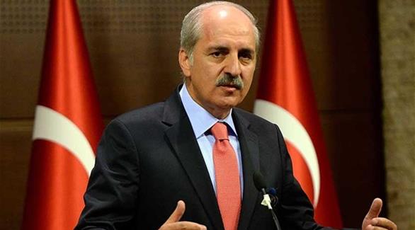 نائب رئيس وزراء تركيا نعمان قورتولموش (أرشيف)