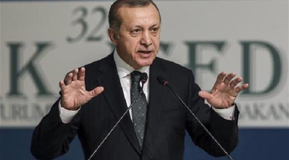 الرئيس التركي رجب طيب أرودوغان (أرشيف)