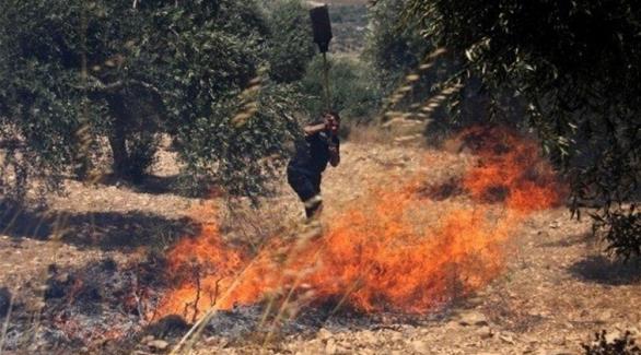 إحراق القرى الفلسطينية (أرشيف)