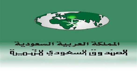 الصندوق السعودي للتنمية (أرشيف) 