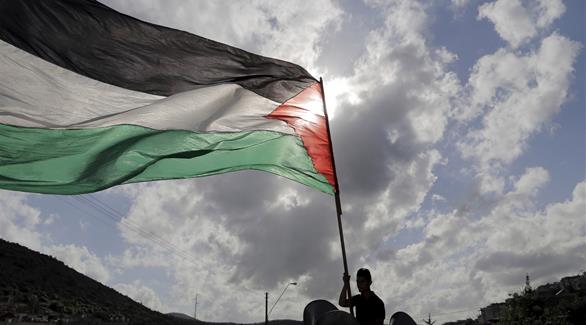 شاب يرفع العلم الفلسطيني (أرشيف)