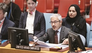 الإمارات تشدد على منح فلسطين العضوية الكاملة في الأمم المتحدة