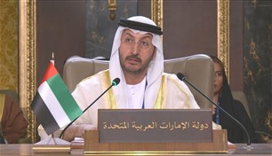 الإمارات تؤكد حرصها على تعزيز التعاون العربي في كافة المجالات